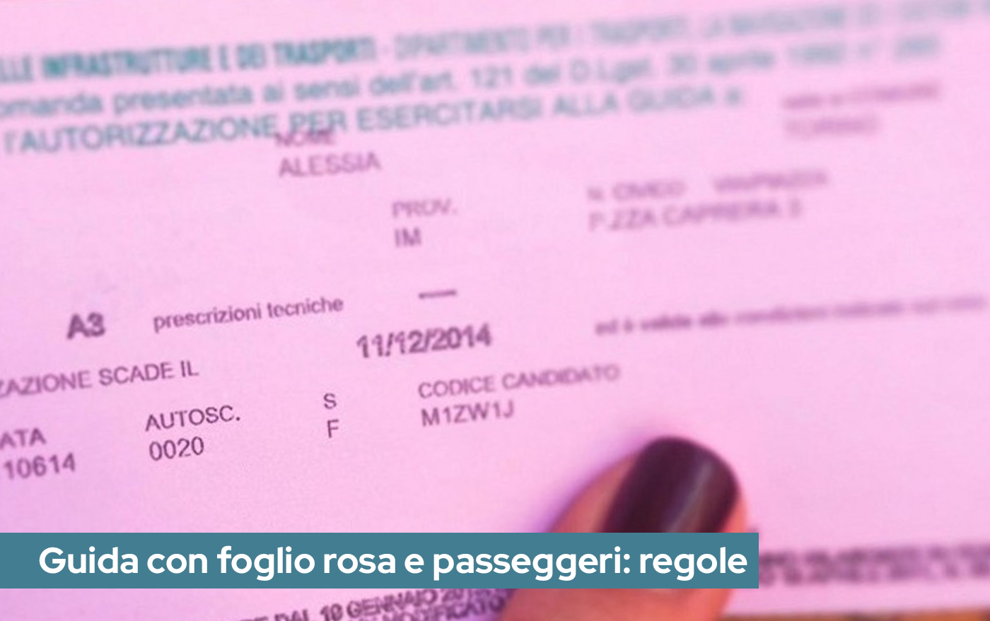 Foglio rosa e passeggeri: cosa prevede la legge
